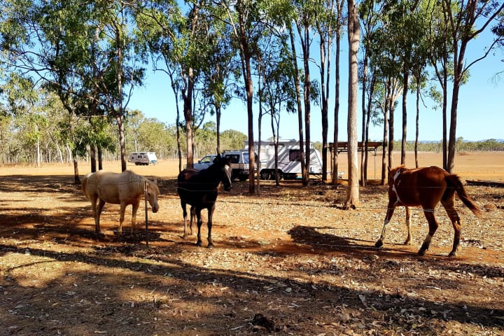 Photo by My Rig Adventures