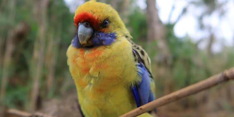 Photo by 