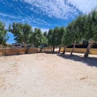 Photo by Lorraine P.