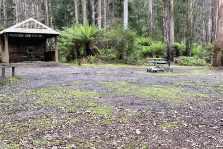 Photo by Caroline Retallick Flavel