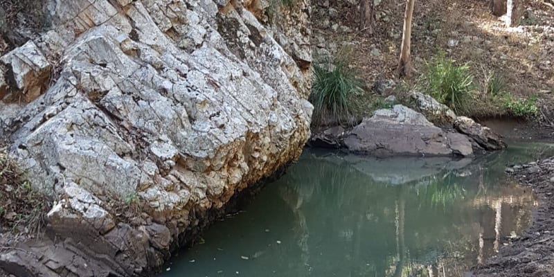 Photo of Waterfall Creek Reserve