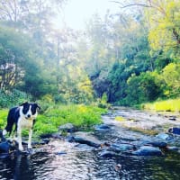 Photo by Rhiannon K.