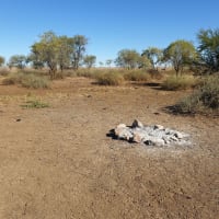 Photo by CATHERINE H.