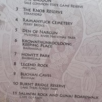 Photo by Michelle D.