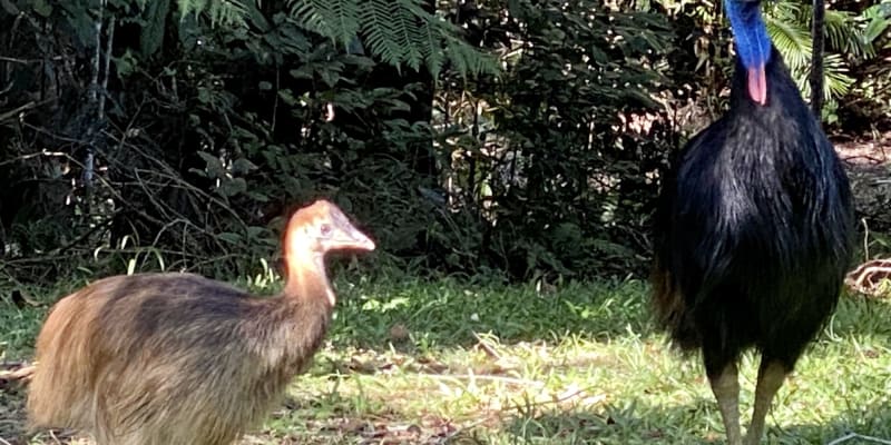 Photo by Sharlene K.