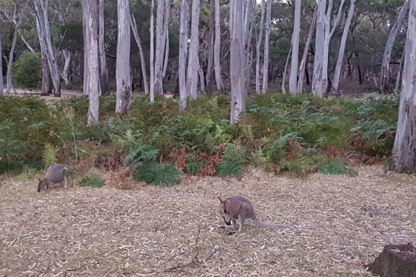 Photo by Olivia Bataligin Averkin