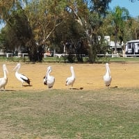 Photo by Colin van den Hoff