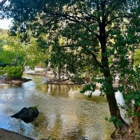 Photo by Elizabeth T.