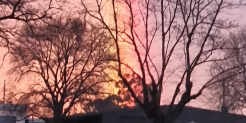 Photo by Elizabeth W.