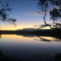 Photo by Mitchell H.