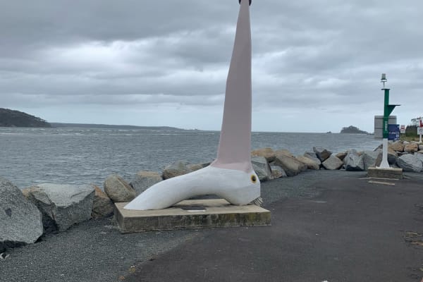 Photo by Poms Touring Australia