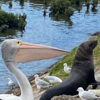 Photo by Dtravellers