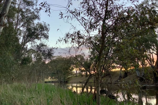 Photo by Leonie Bailey Sharrock