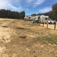 Photo by Lisa Brown White