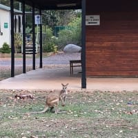 Photo by Marcia Christine Baker