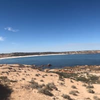 Photo by Philippa D.