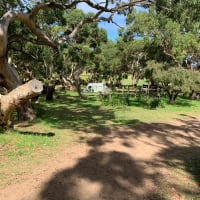 Photo by Argadita G.