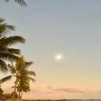 Photo by Roamingrodeo