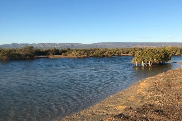 Photo by Edwin Van Ravesteyn