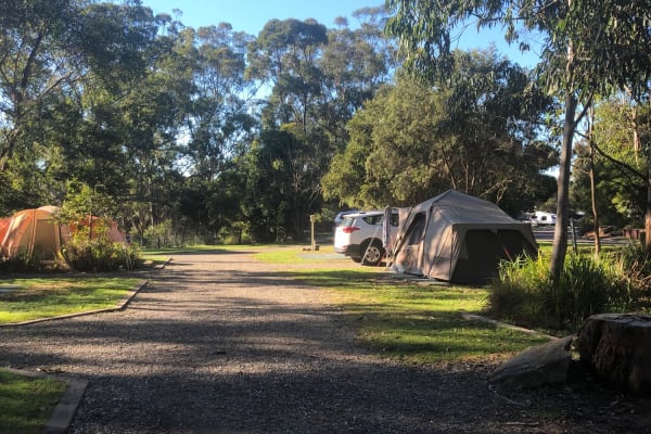 Photo by Elizabeth P.