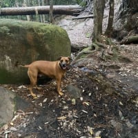 Photo by Stephanie K.