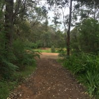 Photo by Milotte Elina Ekermann