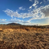 Photo by Brittany E.