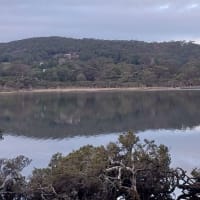 Photo by Colin van den Hoff