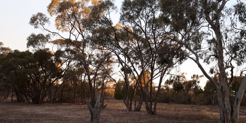 Photo by Kristine B.