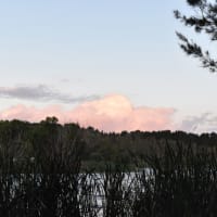 Photo by algebuckina