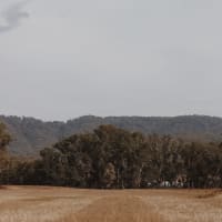 Photo by Victoria T.