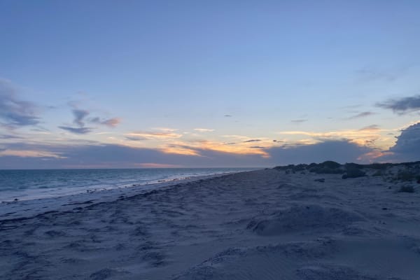 Photo by Elisabeth D.