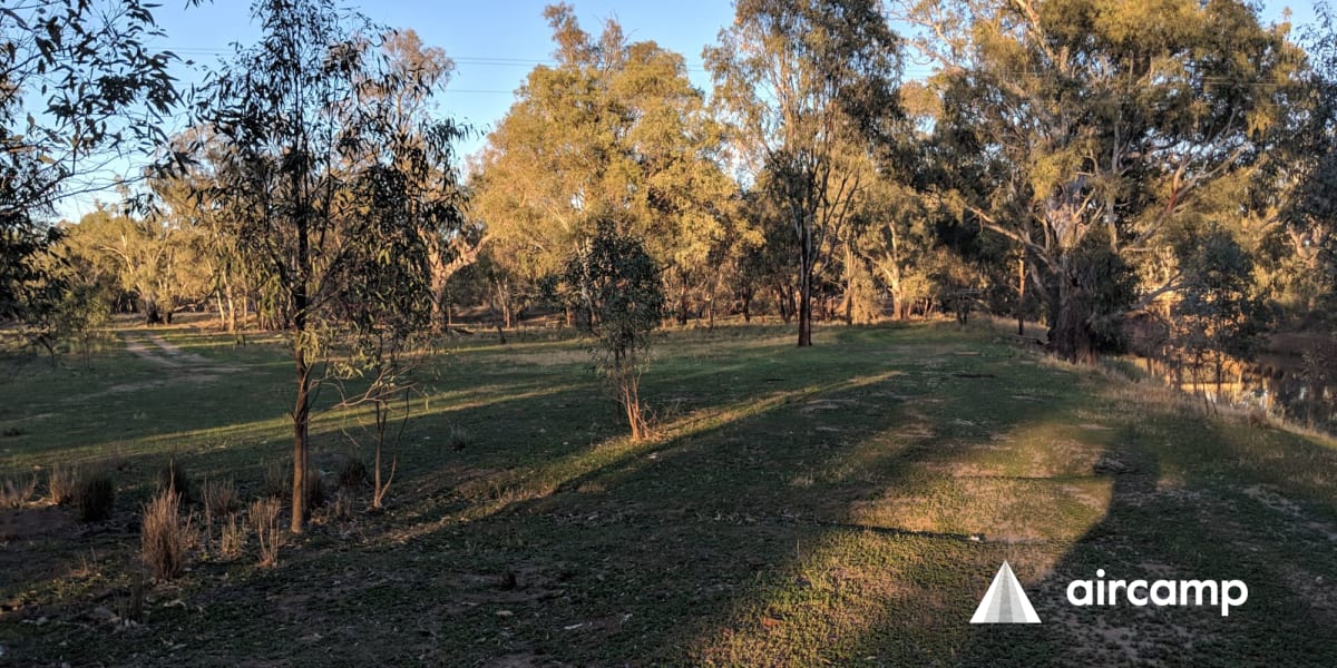 Galore Reserve