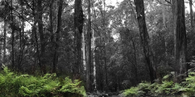 Photo by Theo Janse van Nieuwenhuizen