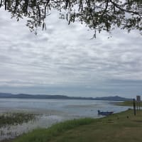 Photo by Theresa N Jason Brown