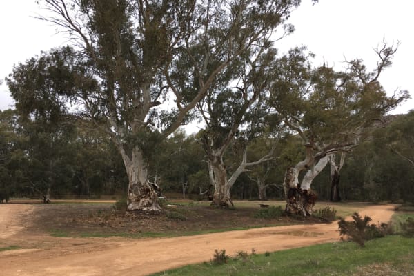 Photo by Francesca S.