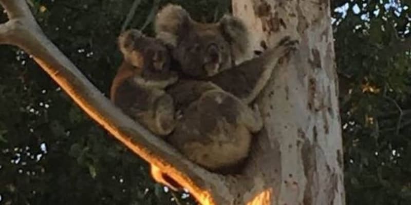 Photo by Michelle G.