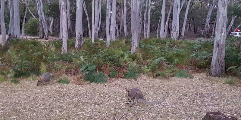 Photo by Olivia Bataligin Averkin