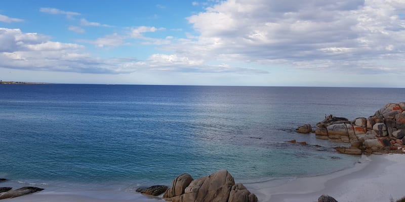 Photo by Christopher H.