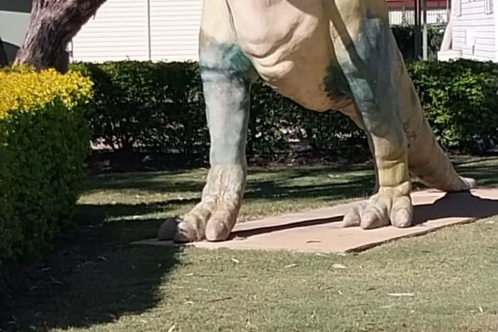 Photo by Colin van den Hoff