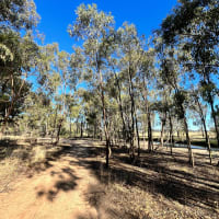 Photo by DaveDuff    CampInNature