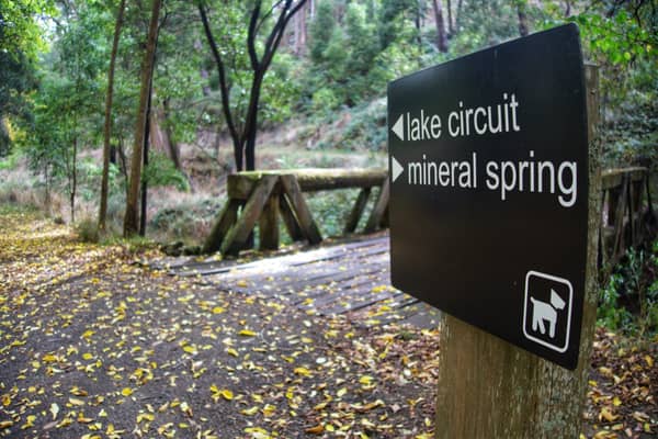 Photo by Jaspreet S.