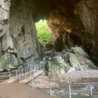 Photo by Henry Thiệp Lê