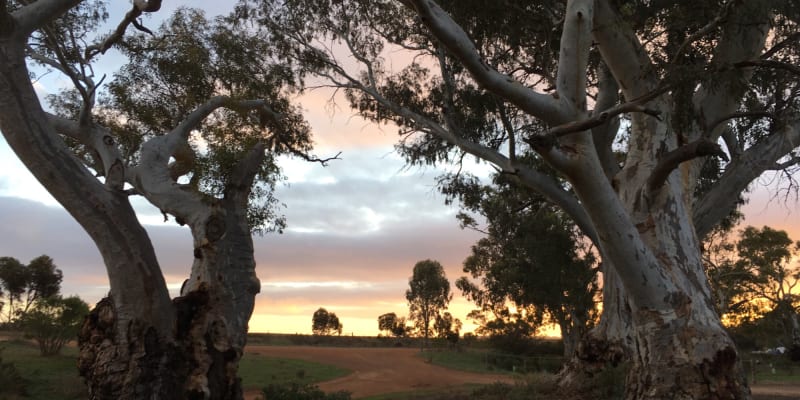 Photo by Francesca S.