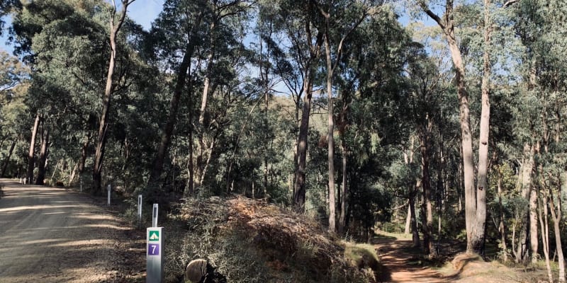 Photo of Yackandandah Creek Site 7