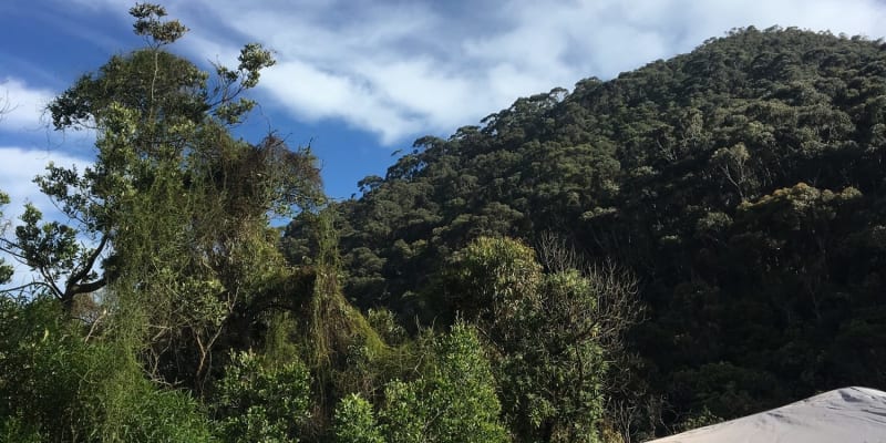 Photo of Jamieson Creek Campground