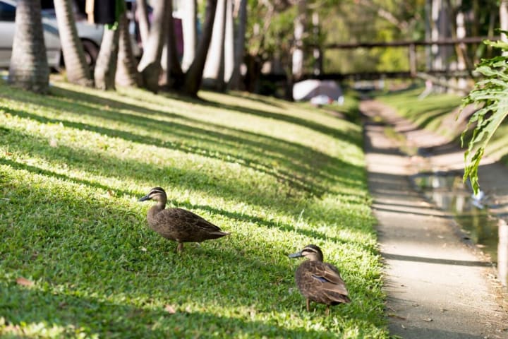 Photo by Caroline B.