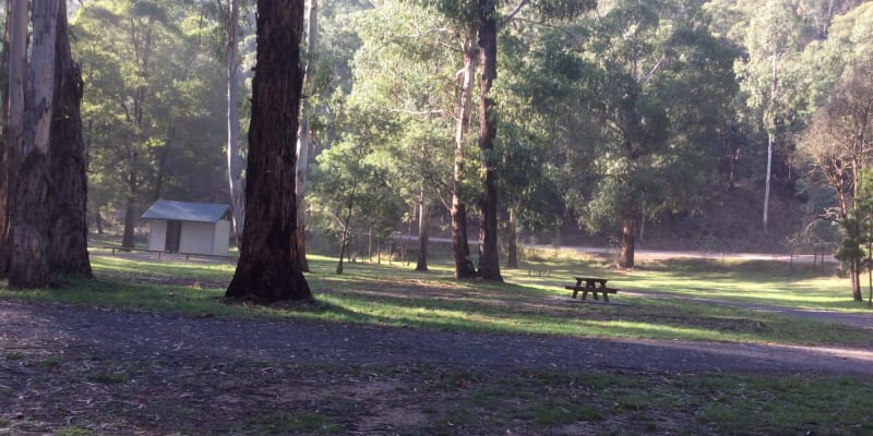 Photo by Mary-anne N.