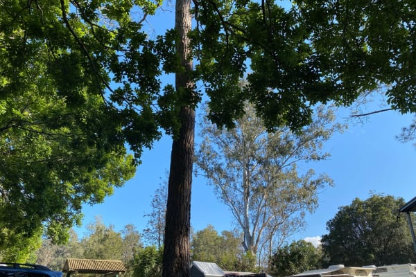 Photo by Adventuregal