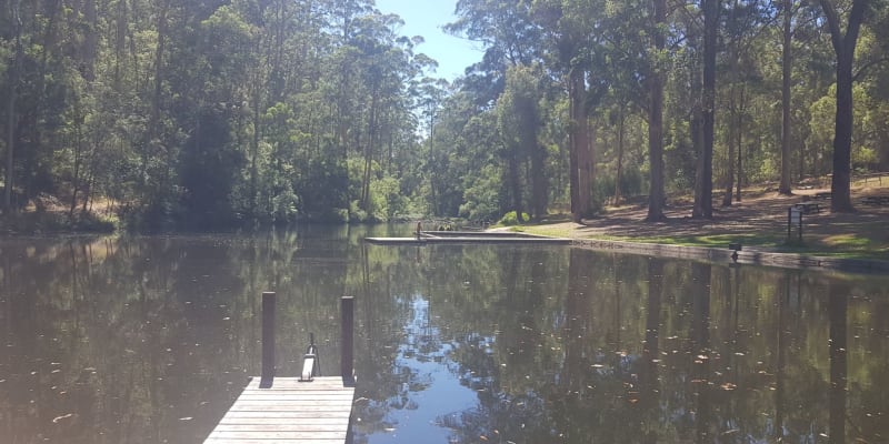 Photo by Stallion2454